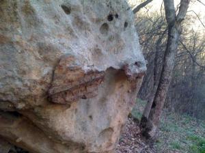 Метална вкаменелост от Белоградчик.