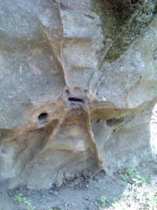 Метална вкаменелост от Белоградчик.